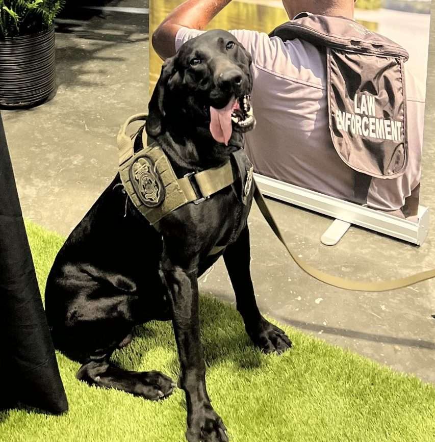 K9 Rickey Helps Jackson County Deputies Recover Two Hidden Firearms