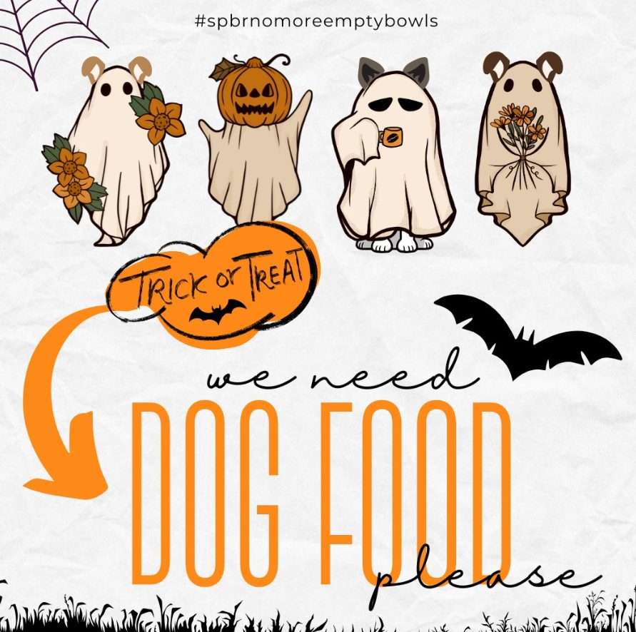 Shaw Pit Bull Rescue asks community for help to feed 20+ dogs in daily care
