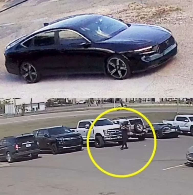 Hattiesburg police need help identifying auto burglary suspect and vehicle