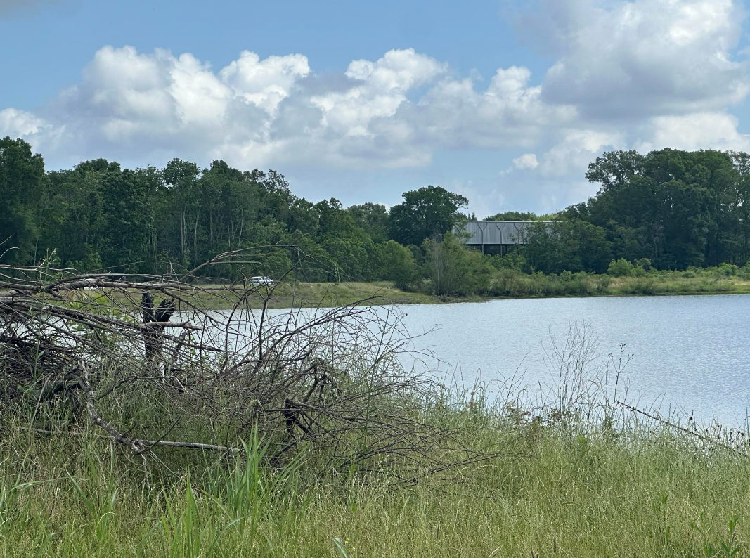 Flowood Pond where body was found