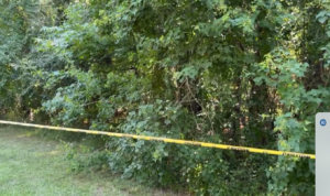 Body Found In Ridgeland Along Rice Road