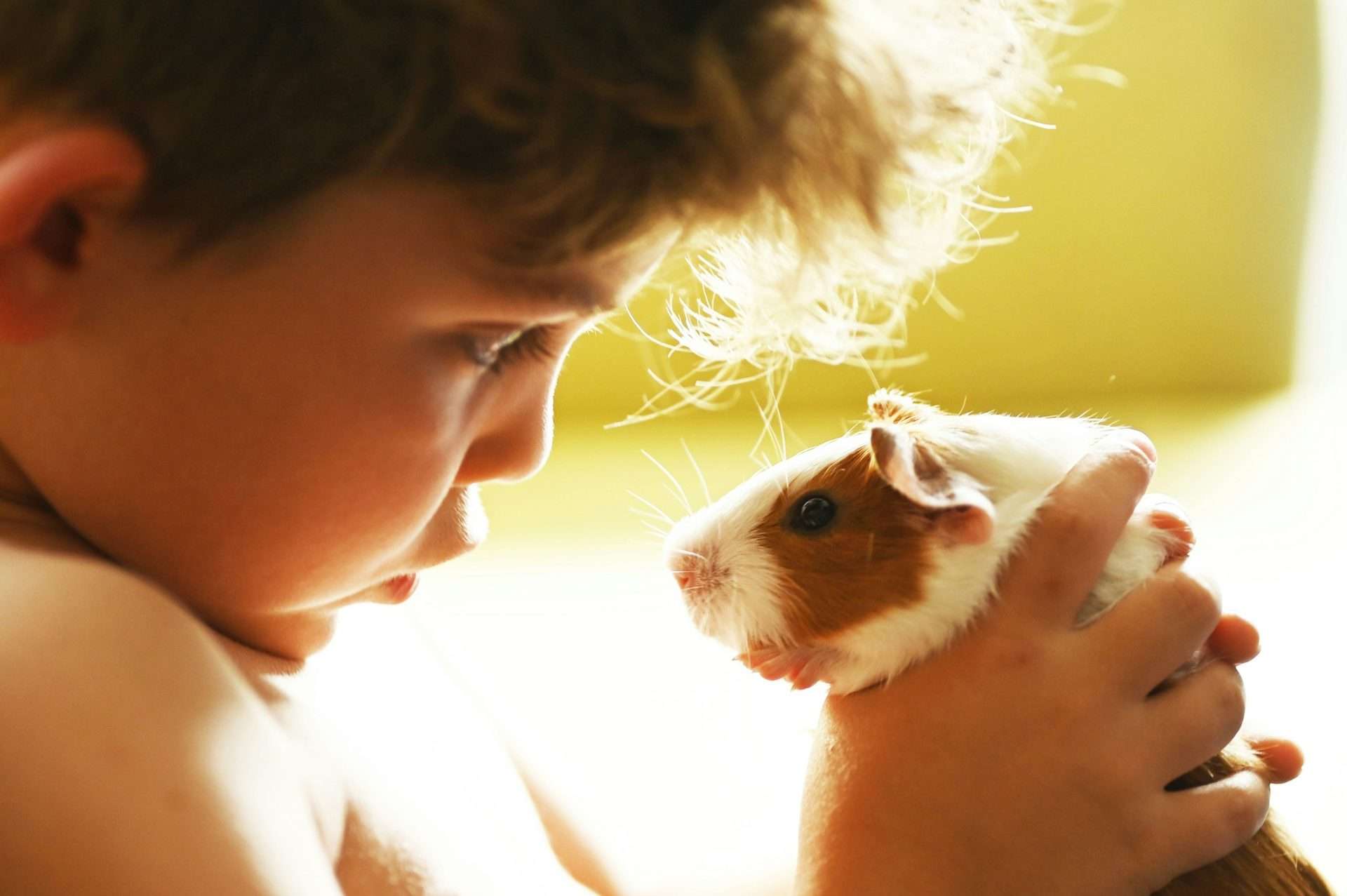 Animal Therapy at Home: Expert Lists 6 Best Pets for Children with Autism